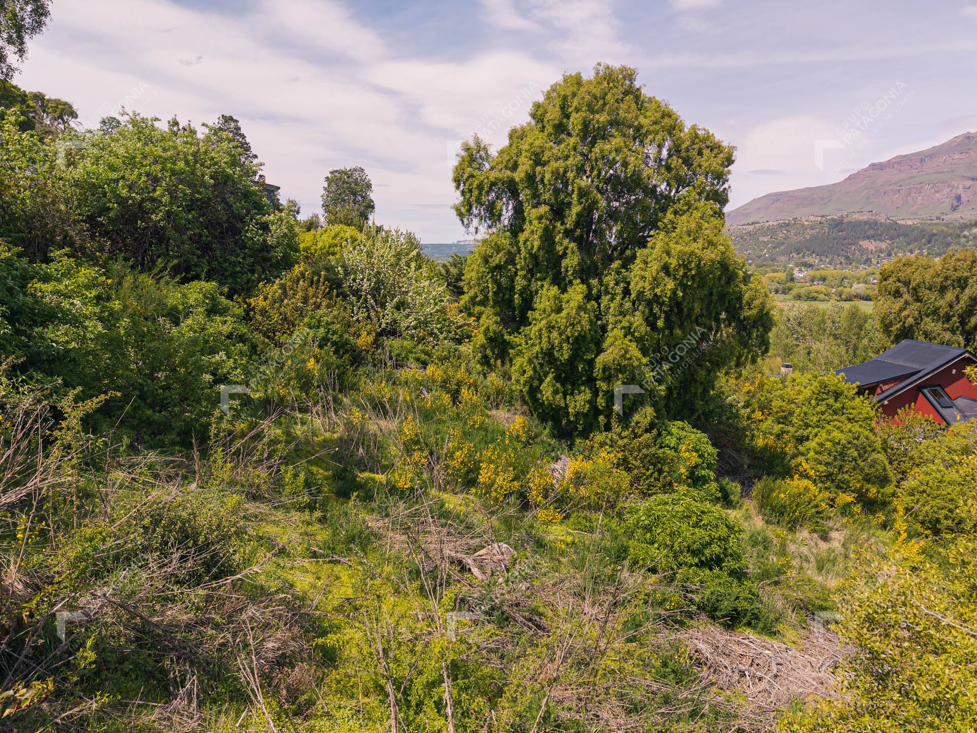 Lote En Venta En Barrio Cerrado Raitrai , San Martín De Los Andes, Neuquén, Patagonia Argentina
