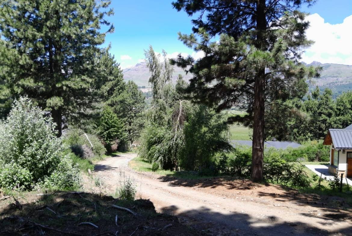 Excelente Lote En Venta Sobre Callejón De Gingins (sobre El Acceso A La Casona Del Alto), San Martín De Los Andes