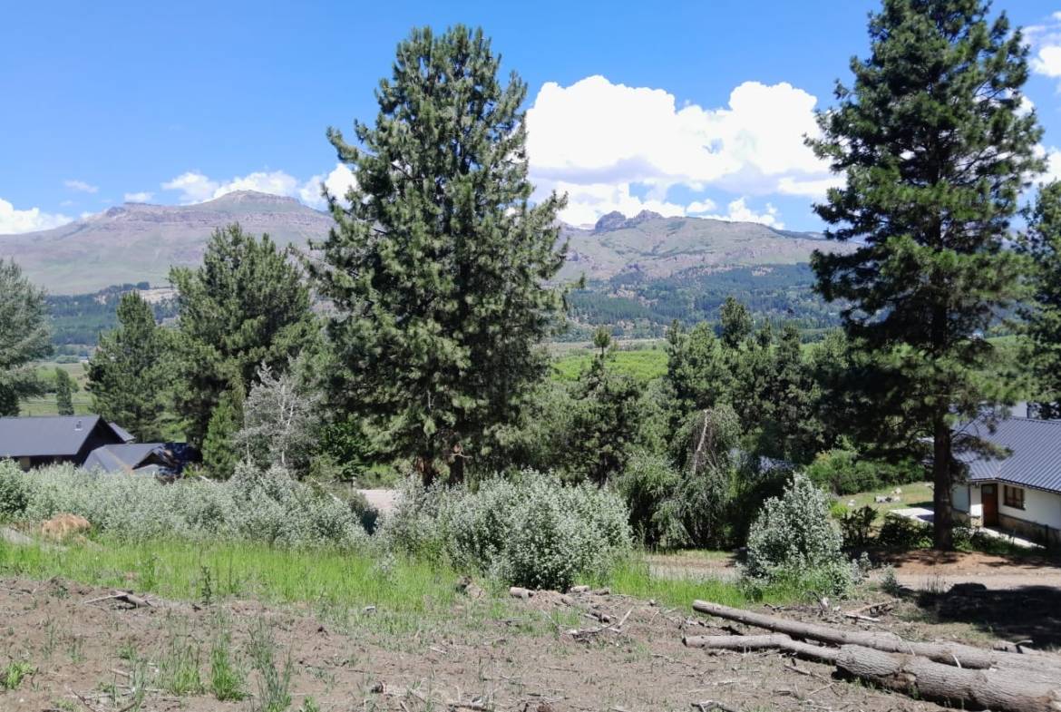 Excelente Lote En Venta Sobre Callejón De Gingins (sobre El Acceso A La Casona Del Alto), San Martín De Los Andes