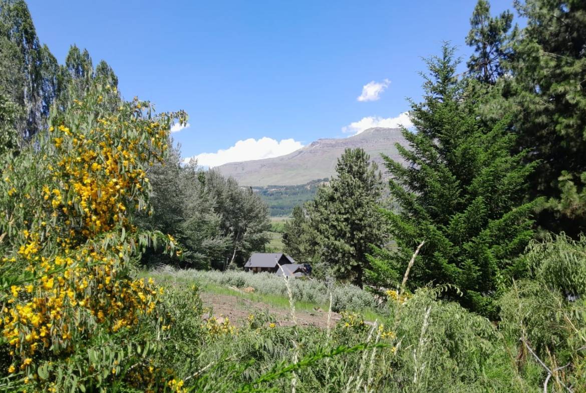 Excelente Lote En Venta Sobre Callejón De Gingins, Sobre El Acceso A La Casona Del Alto, San Martín De Los Andes, Neuquén, Patagonia Argentina