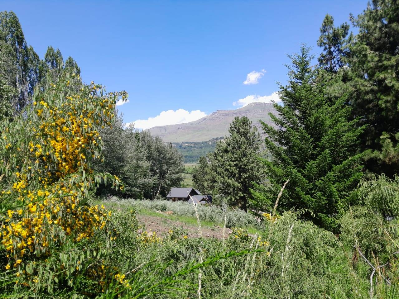 Excelente Lote En Venta Sobre Callejón De Gingins, Sobre El Acceso A La Casona Del Alto, San Martín De Los Andes, Neuquén, Patagonia Argentina