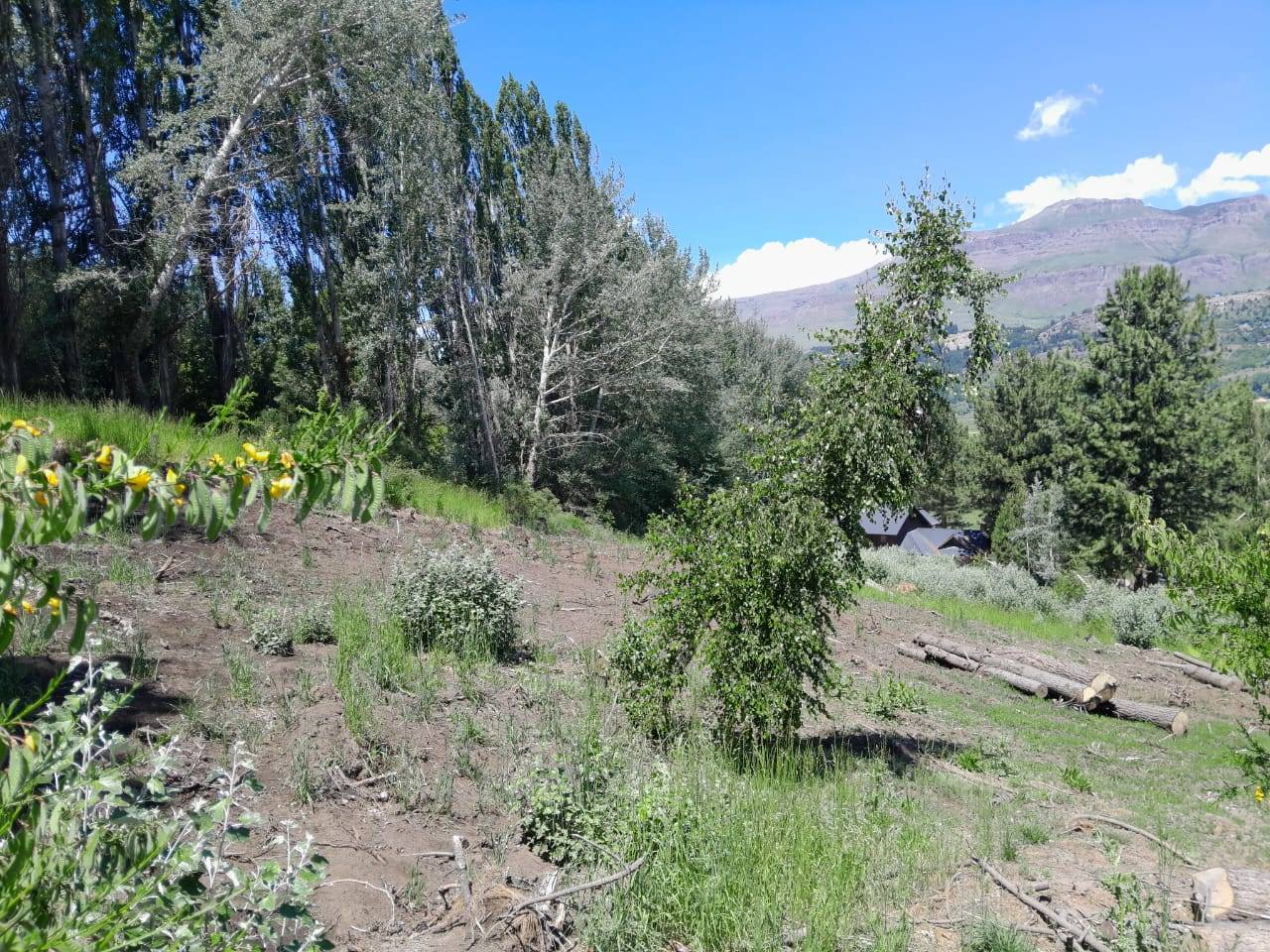 Excelente Lote En Venta Sobre Callejón De Gingins, Sobre El Acceso A La Casona Del Alto, San Martín De Los Andes, Neuquén, Patagonia Argentina