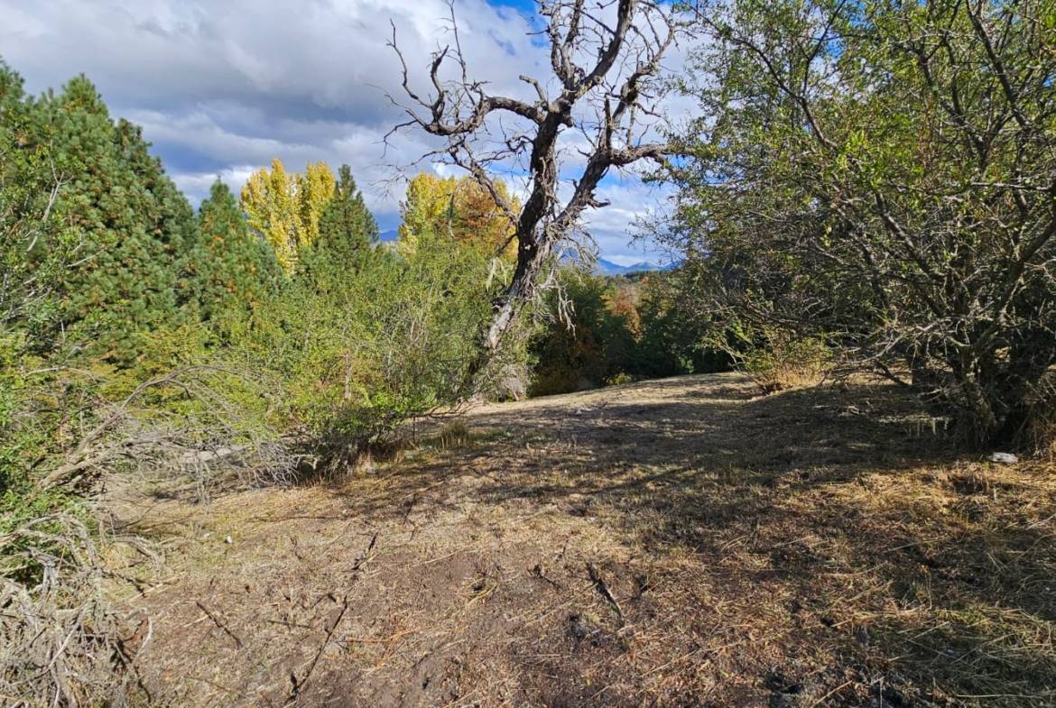hermoso lote en venta en barrio cerrado peñon de lolog san martin de los andes
