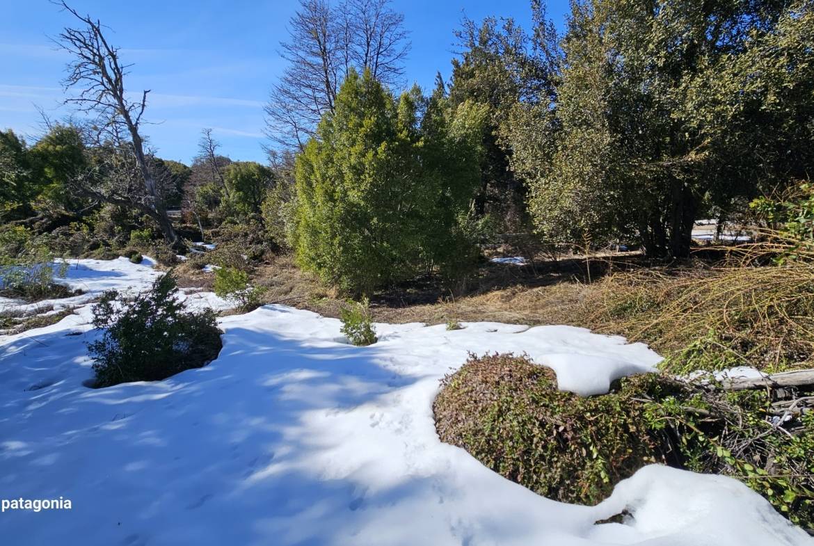 Lote Terreno En Venta En La Reserva Alta, San Martín De Los Andes, Neuquén, Patagonia Argentina