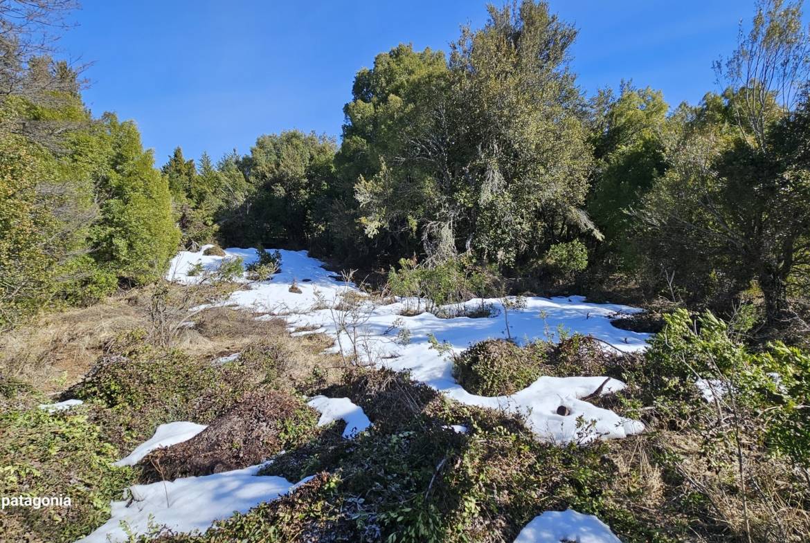 Lote Terreno En Venta En La Reserva Alta, San Martín De Los Andes, Neuquén, Patagonia Argentina