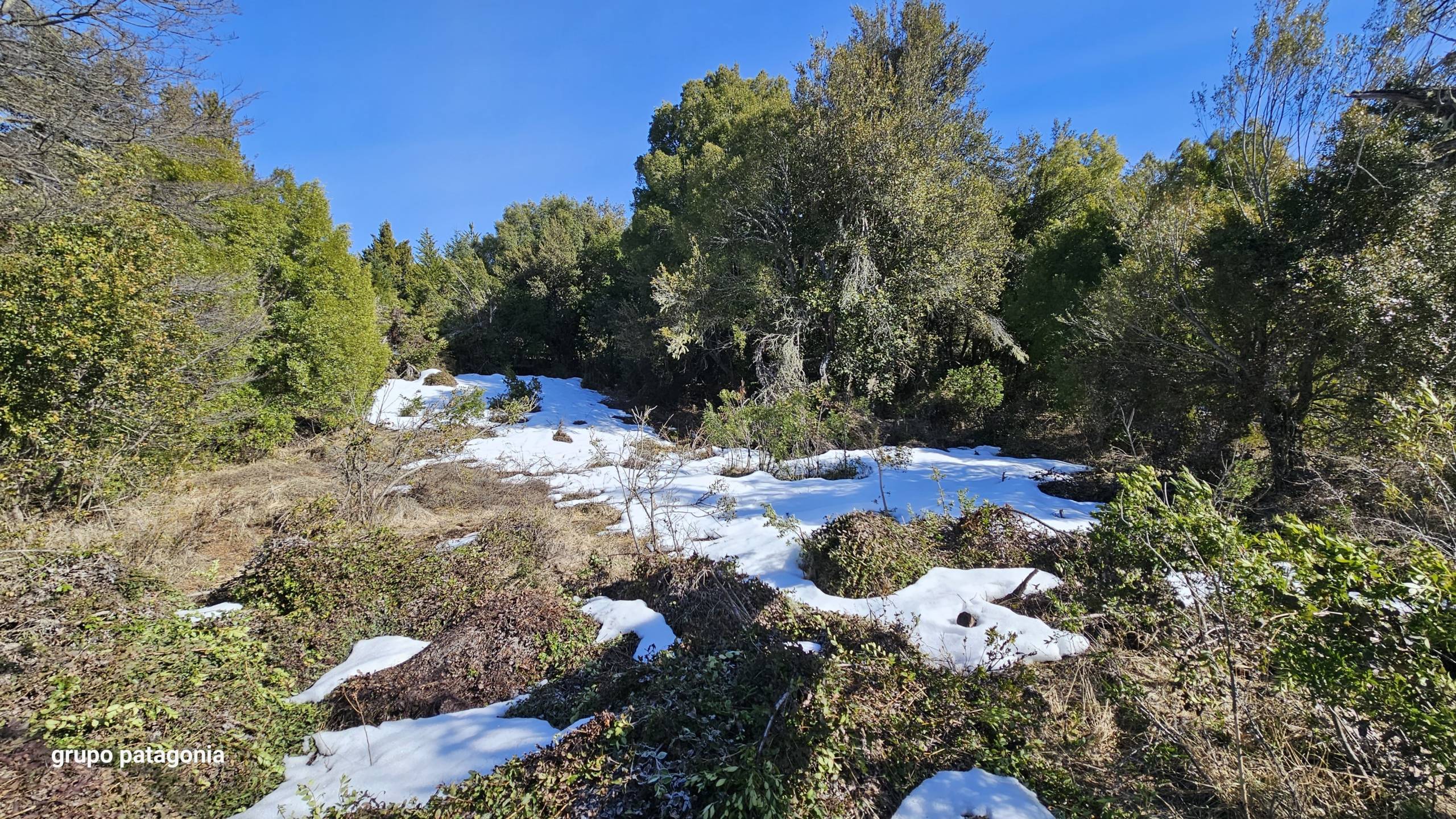 Lote Terreno En Venta En La Reserva Alta, San Martín De Los Andes, Neuquén, Patagonia Argentina