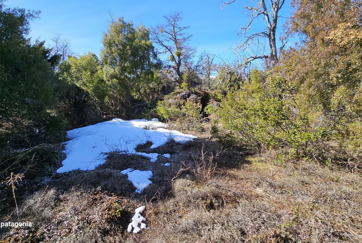 Lote Terreno En Venta En La Reserva Alta, San Martín De Los Andes, Neuquén, Patagonia Argentina