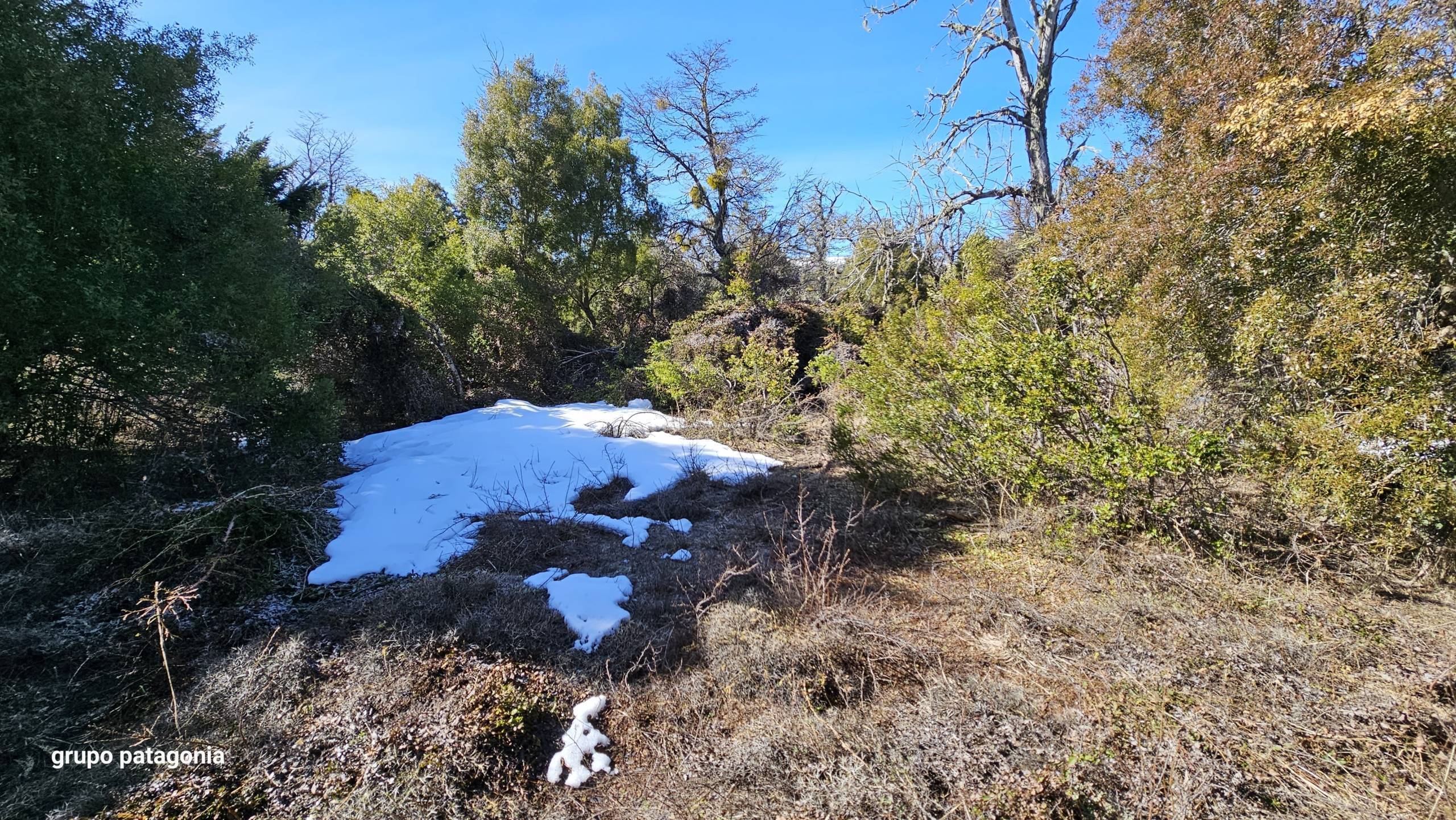 Lote Terreno En Venta En La Reserva Alta, San Martín De Los Andes, Neuquén, Patagonia Argentina