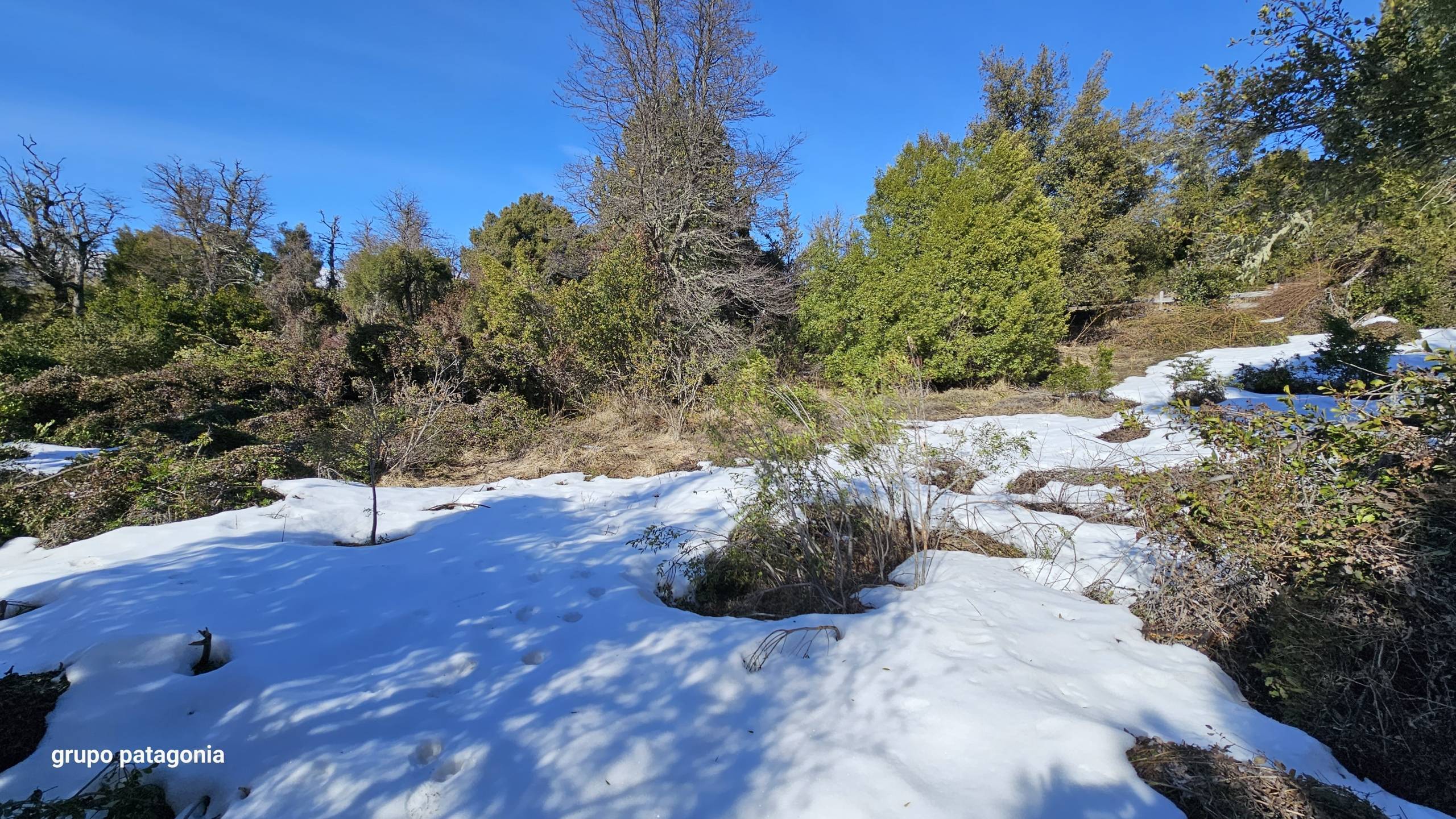 Lote Terreno En Venta En La Reserva Alta, San Martín De Los Andes, Neuquén, Patagonia Argentina