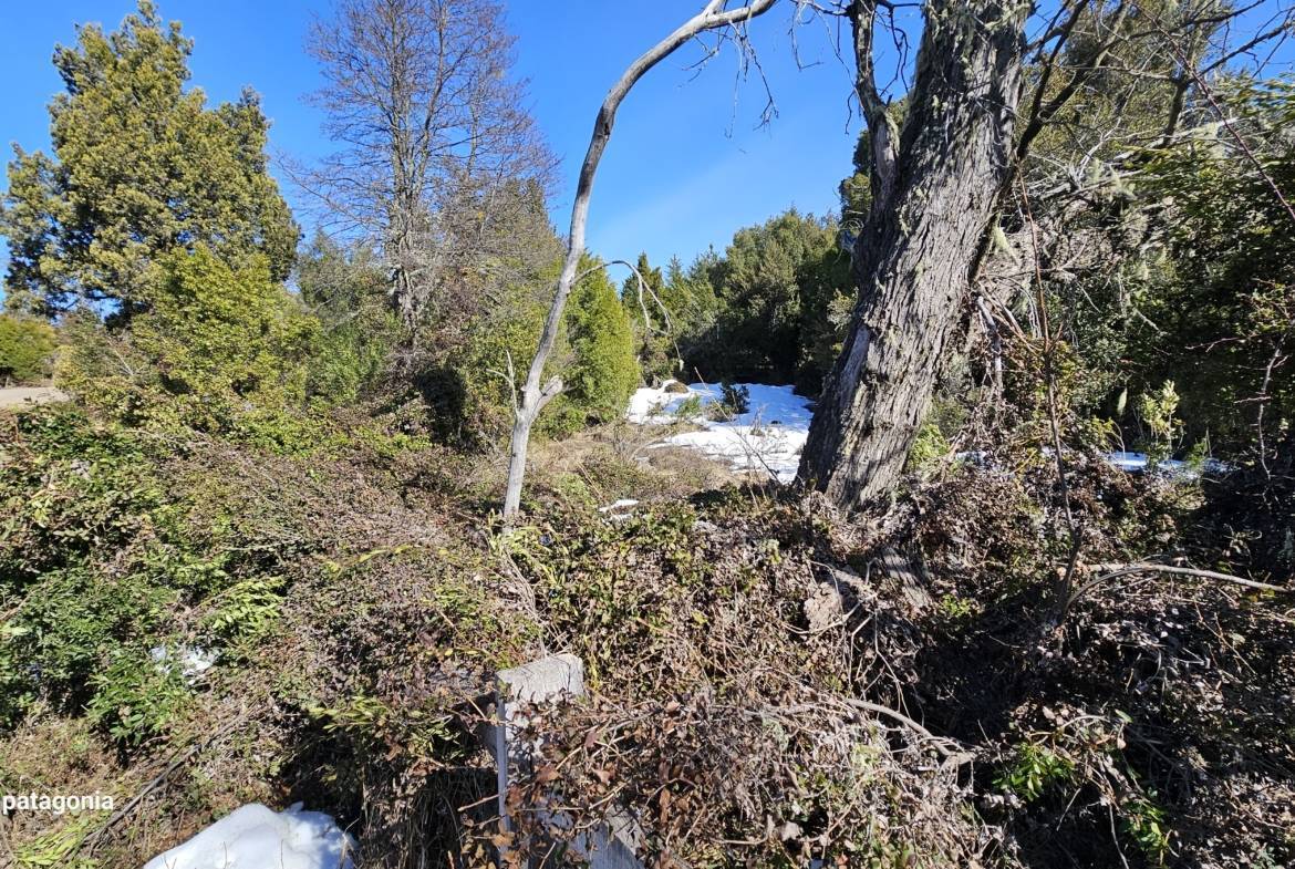 Lote Terreno En Venta En La Reserva Alta, San Martín De Los Andes, Neuquén, Patagonia Argentina