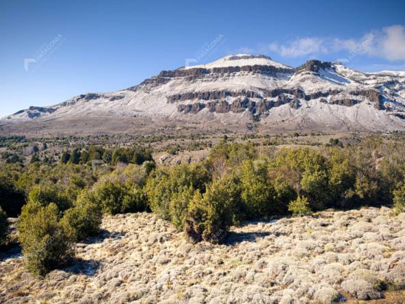 Lote Terreno De 2 Hectareas Con Todos Los Servicios En San Martin De Los Andes, Sobre Faldeos De Chapelco, Neuquen, Patagonia Argentina
