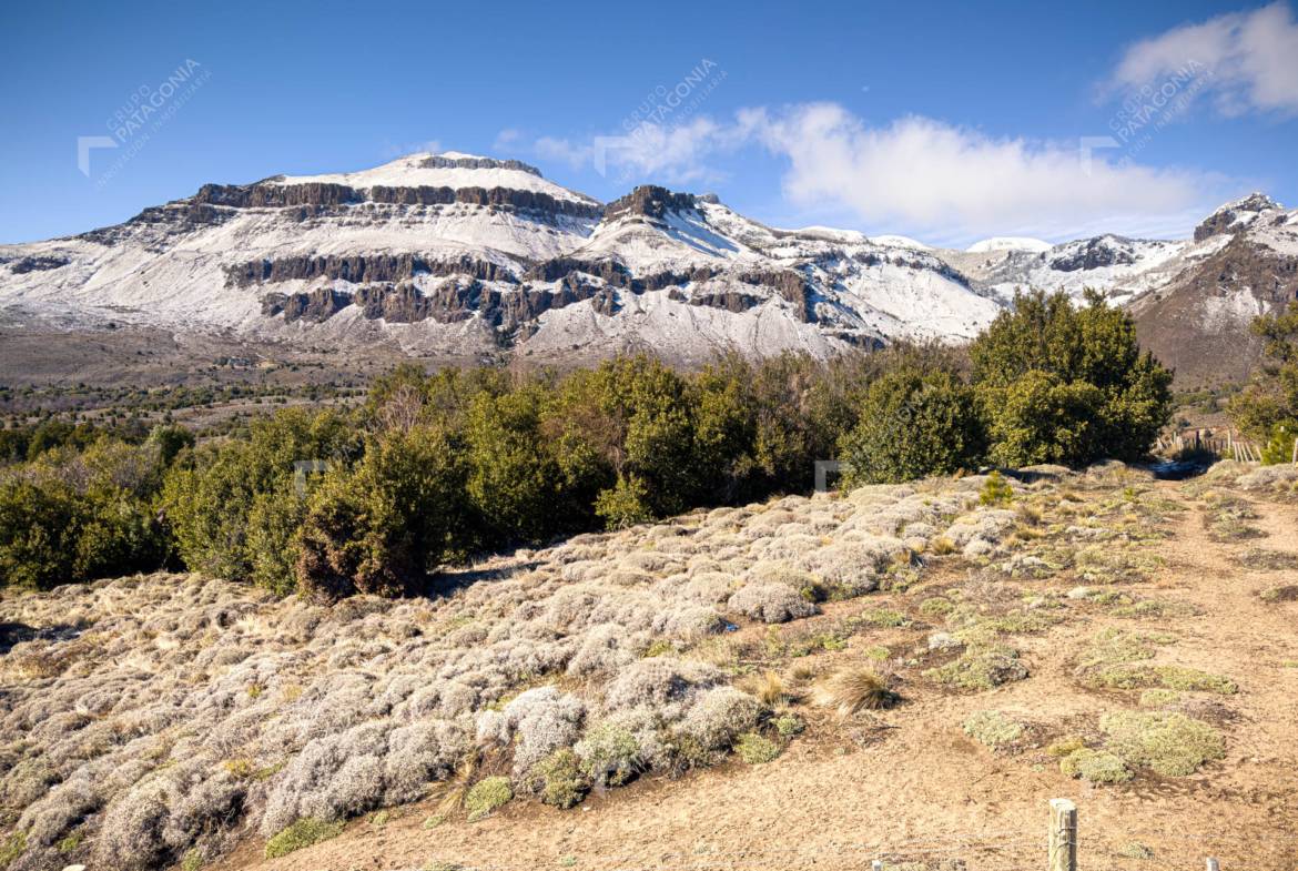 Lote Terreno De 2 Hectareas Con Todos Los Servicios En San Martin De Los Andes, Sobre Faldeos De Chapelco, Neuquen, Patagonia Argentina