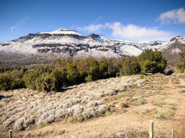 Lote Terreno De 2 Hectareas Con Todos Los Servicios En San Martin De Los Andes, Sobre Faldeos De Chapelco, Neuquen, Patagonia Argentina