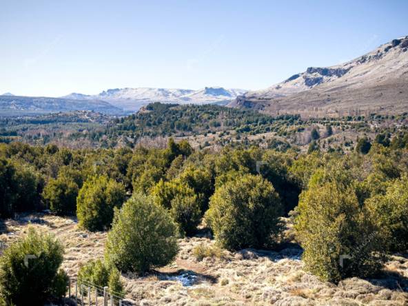Lote Terreno De 2 Hectareas Con Todos Los Servicios En San Martin De Los Andes, Sobre Faldeos De Chapelco, Neuquen, Patagonia Argentina