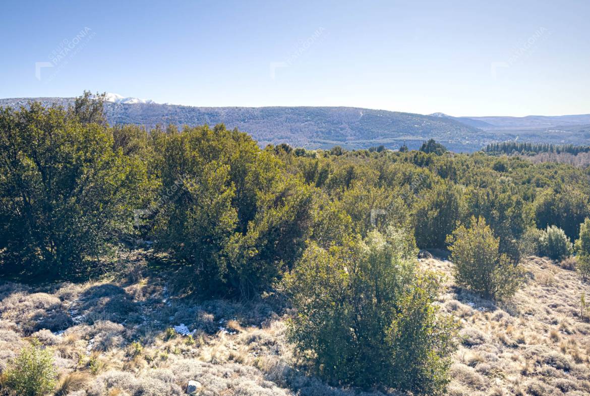 Lote Terreno De 2 Hectareas Con Todos Los Servicios En San Martin De Los Andes, Sobre Faldeos De Chapelco, Neuquen, Patagonia Argentina