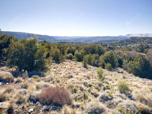 Lote Terreno De 2 Hectareas Con Todos Los Servicios En San Martin De Los Andes, Sobre Faldeos De Chapelco, Neuquen, Patagonia Argentina