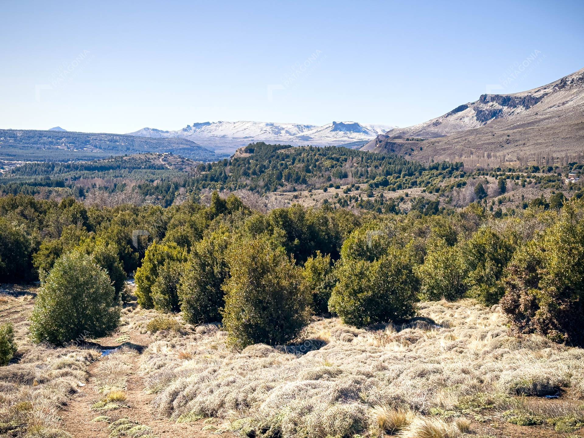 Lote Terreno De 2 Hectareas Con Todos Los Servicios En San Martin De Los Andes, Sobre Faldeos De Chapelco, Neuquen, Patagonia Argentina