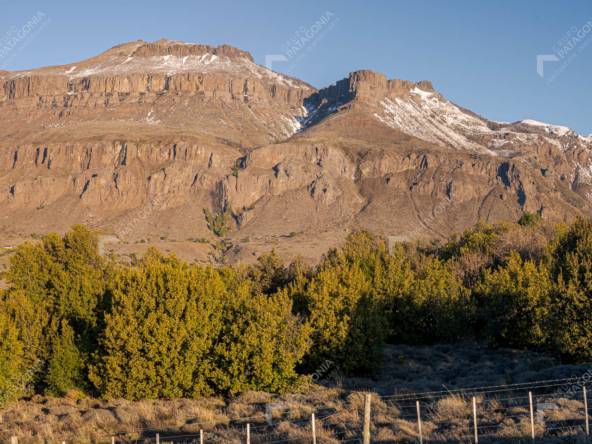 Lote Terreno De 2 Hectareas Con Todos Los Servicios En San Martin De Los Andes, Sobre Faldeos De Chapelco, Neuquen, Patagonia Argentina