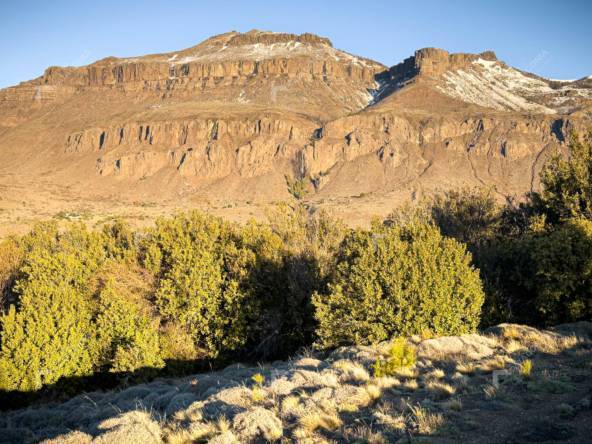 Lote Terreno De 2 Hectareas Con Todos Los Servicios En San Martin De Los Andes, Sobre Faldeos De Chapelco, Neuquen, Patagonia Argentina