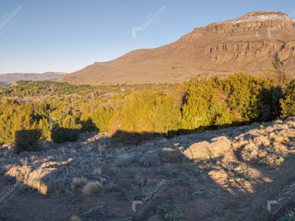 Lote Terreno De 2 Hectareas Con Todos Los Servicios En San Martin De Los Andes, Sobre Faldeos De Chapelco, Neuquen, Patagonia Argentina