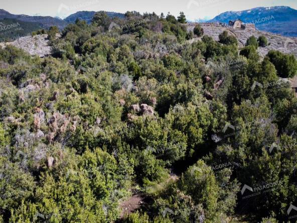 Lote Terreno De 2 Hectareas Con Todos Los Servicios En San Martin De Los Andes, Sobre Faldeos De Chapelco, Neuquen, Patagonia Argentina