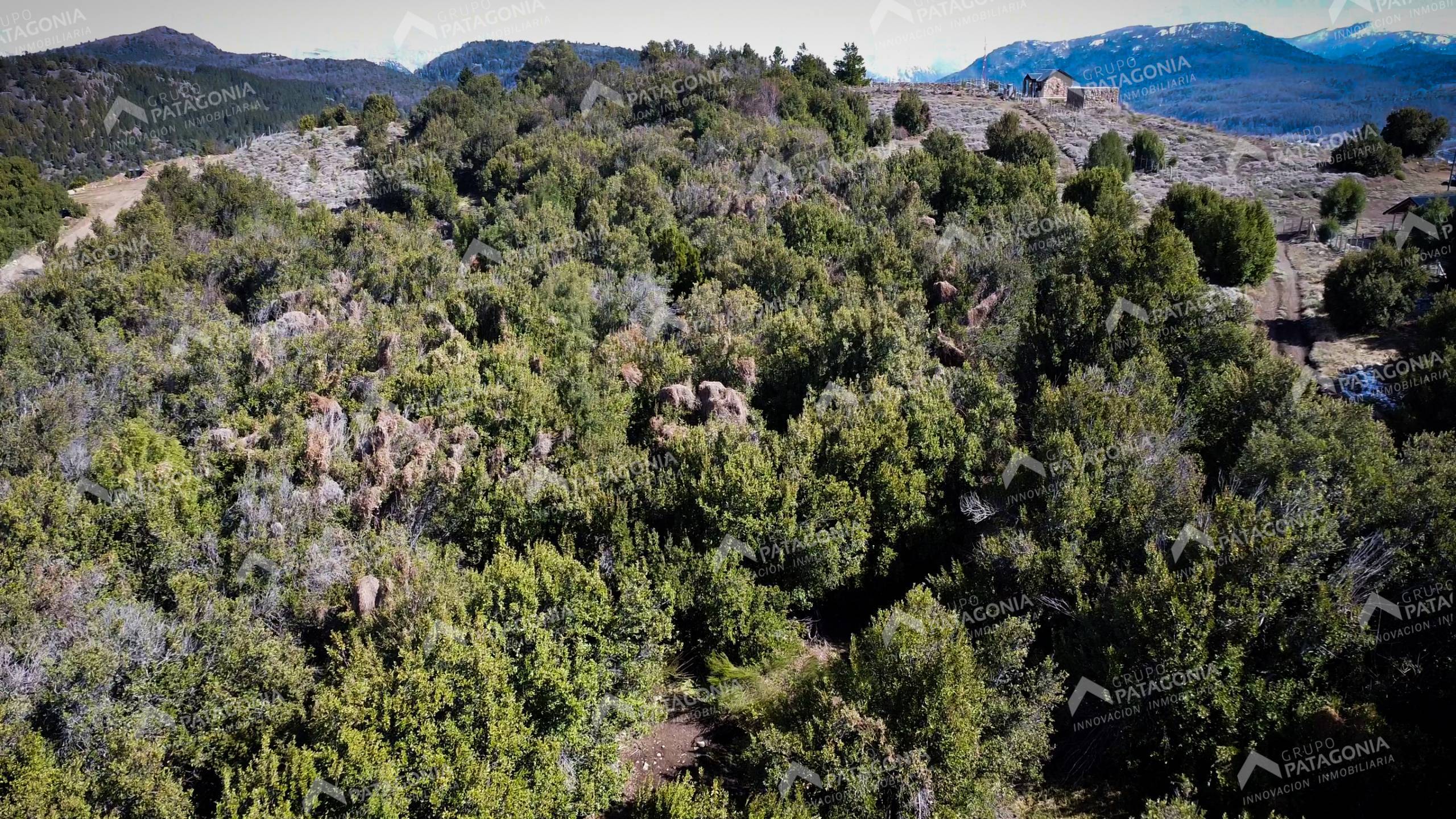 Lote Terreno De 2 Hectareas Con Todos Los Servicios En San Martin De Los Andes, Sobre Faldeos De Chapelco, Neuquen, Patagonia Argentina