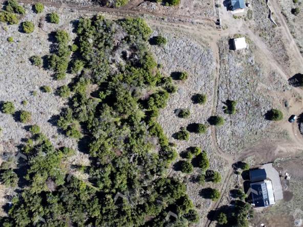 Lote Terreno De 2 Hectareas Con Todos Los Servicios En San Martin De Los Andes, Sobre Faldeos De Chapelco, Neuquen, Patagonia Argentina