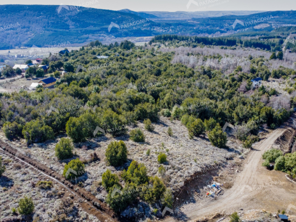 Lote Terreno De 2 Hectareas Con Todos Los Servicios En San Martin De Los Andes, Sobre Faldeos De Chapelco, Neuquen, Patagonia Argentina