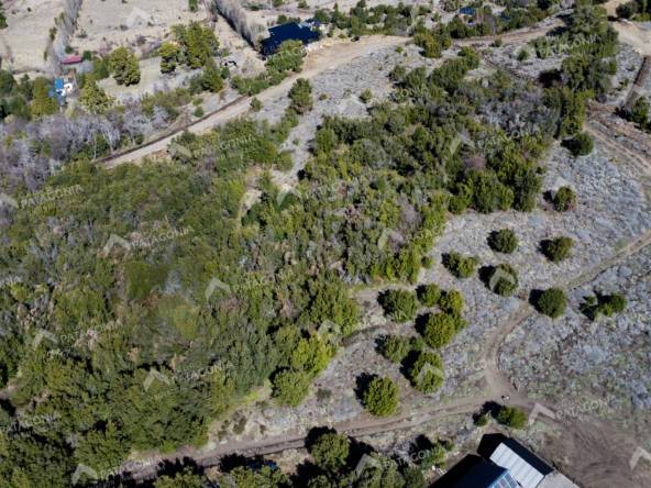 Lote Terreno De 2 Hectareas Con Todos Los Servicios En San Martin De Los Andes, Sobre Faldeos De Chapelco, Neuquen, Patagonia Argentina