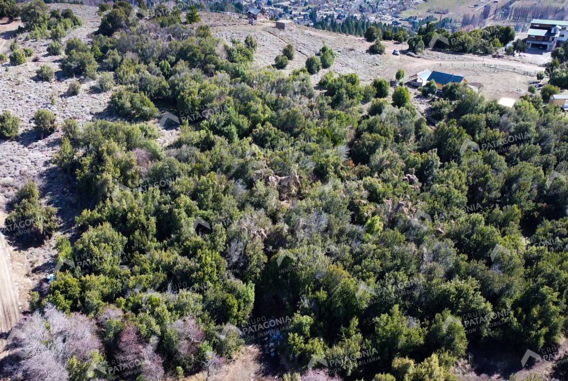 Lote Terreno De 2 Hectareas Con Todos Los Servicios En San Martin De Los Andes, Sobre Faldeos De Chapelco, Neuquen, Patagonia Argentina