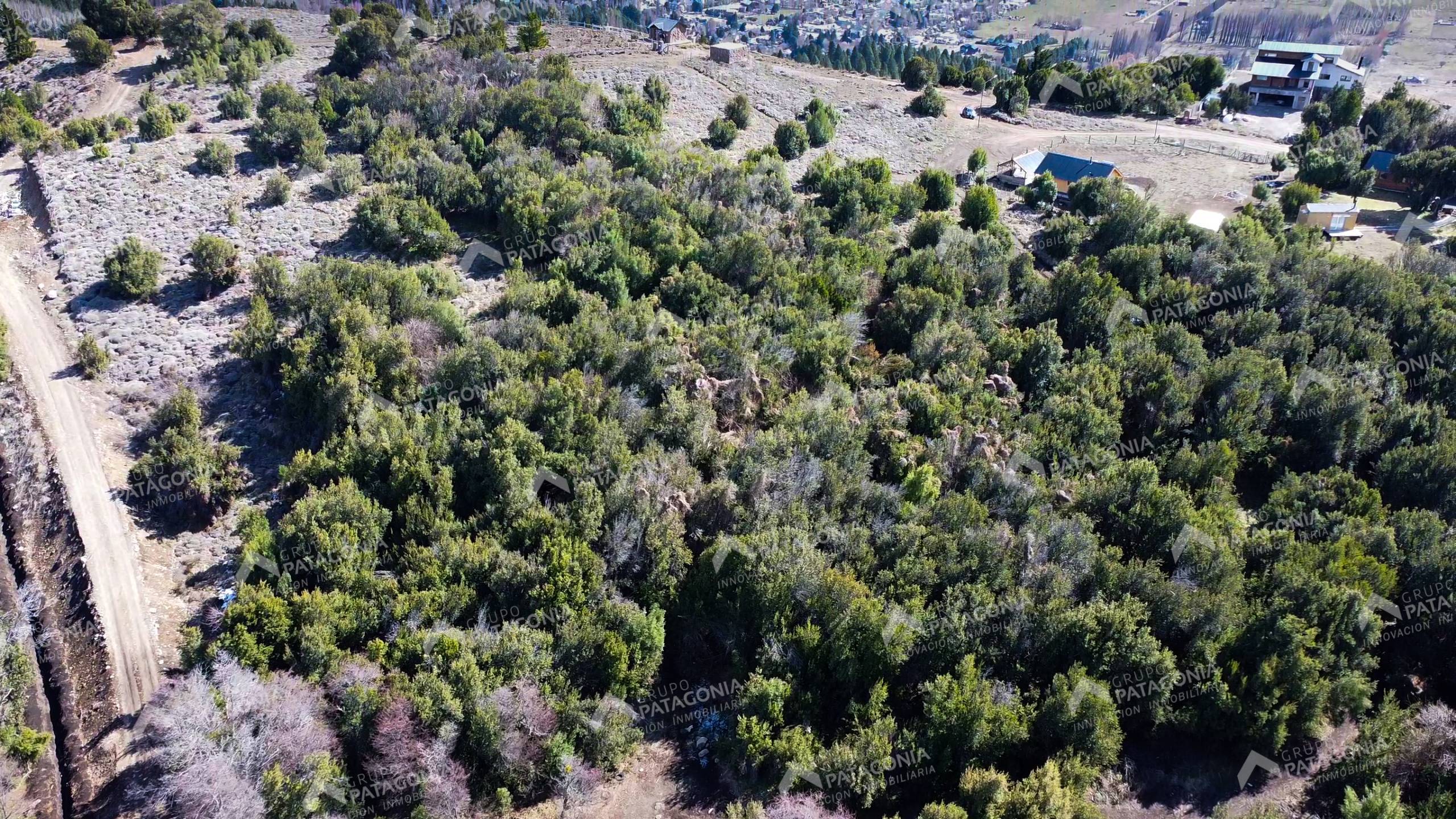 Lote Terreno De 2 Hectareas Con Todos Los Servicios En San Martin De Los Andes, Sobre Faldeos De Chapelco, Neuquen, Patagonia Argentina