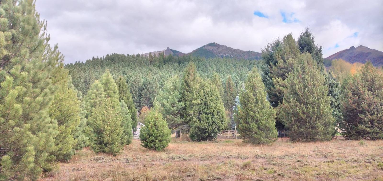 Terreno Lote En Venta En Villa Lago Meliquina, San Martin De Los Andes, Patagonia Argentina