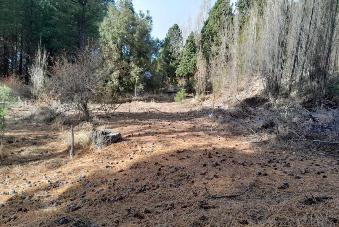 Lote En Venta En San Martín De Los Andes, Barrio Cerrado La Jauría, Neuquén, Patagonia Argentina