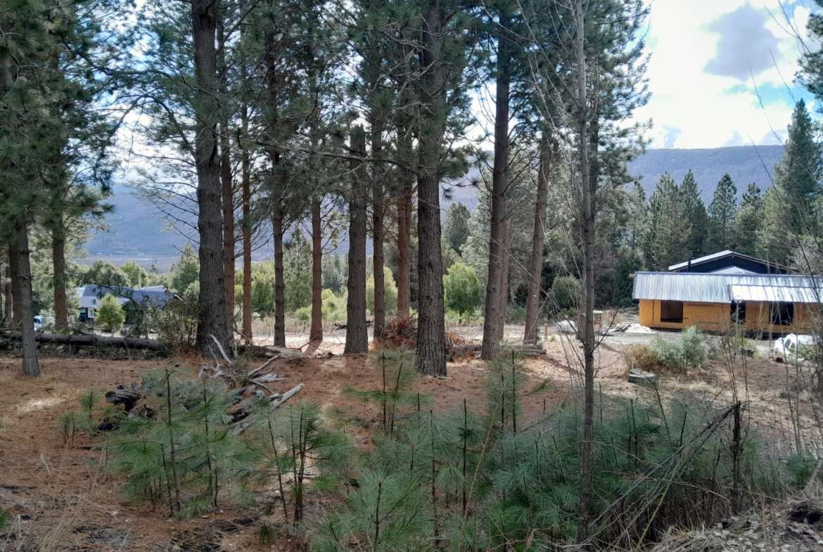 Lote En Venta En San Martín De Los Andes, Barrio Cerrado La Jauría, Neuquén, Patagonia Argentina