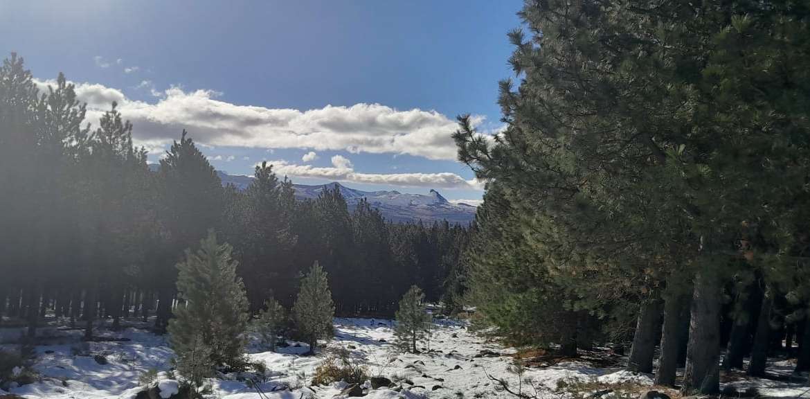 Lote Terreno En San Martin De Los Andes, El Desafío Mountain Resort, Neuquén, Patagonia Argentina