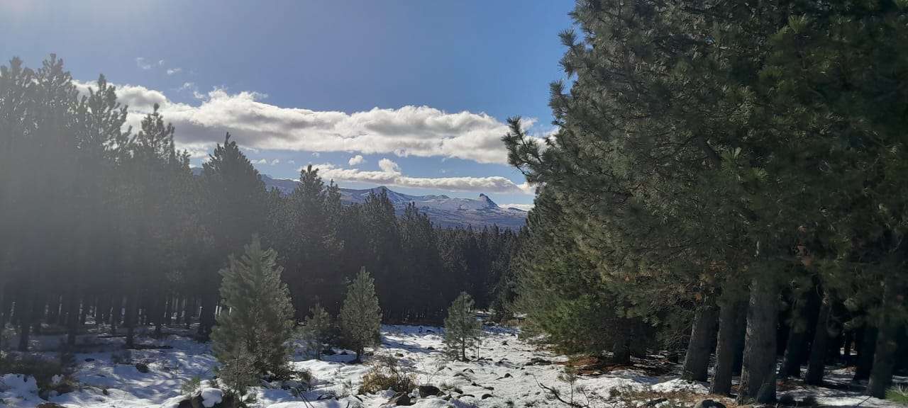 Lote Terreno En San Martin De Los Andes, El Desafío Mountain Resort, Neuquén, Patagonia Argentina