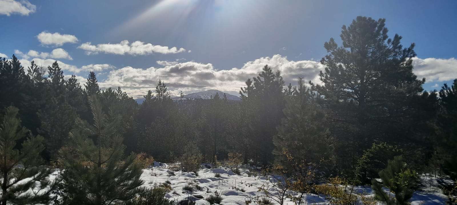 Lote Terreno En San Martin De Los Andes, El Desafío Mountain Resort, Neuquén, Patagonia Argentina