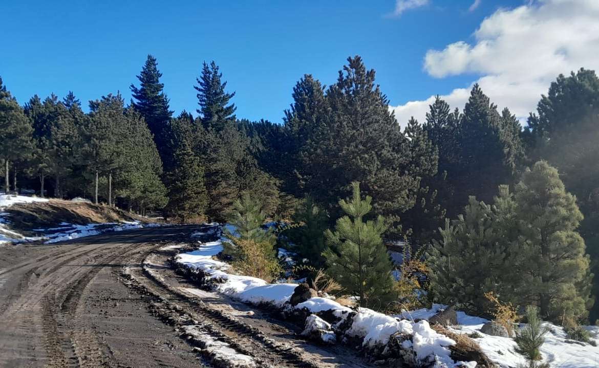 Lote Terreno En San Martin De Los Andes, El Desafío Mountain Resort, Neuquén, Patagonia Argentina