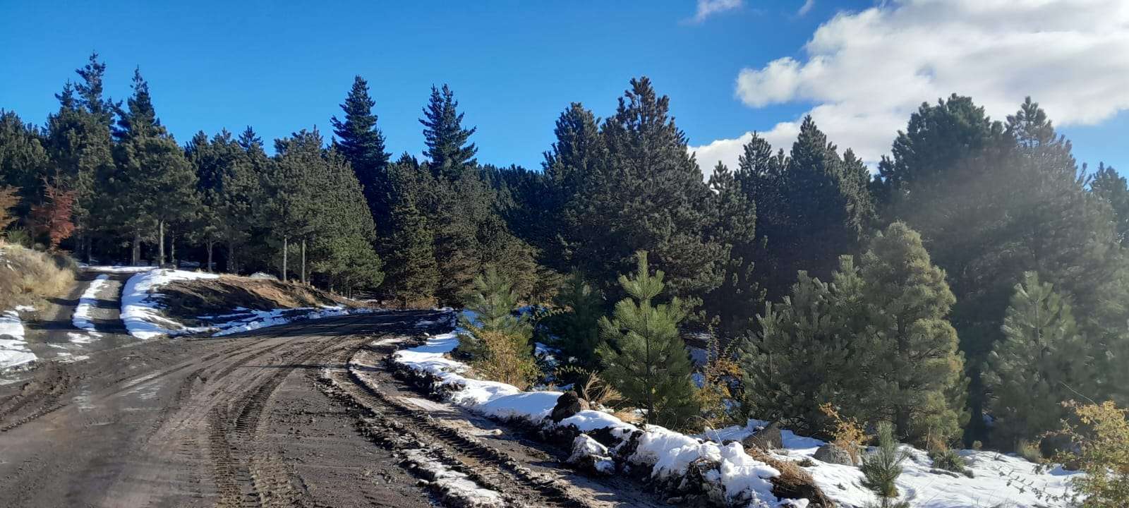 Lote Terreno En San Martin De Los Andes, El Desafío Mountain Resort, Neuquén, Patagonia Argentina