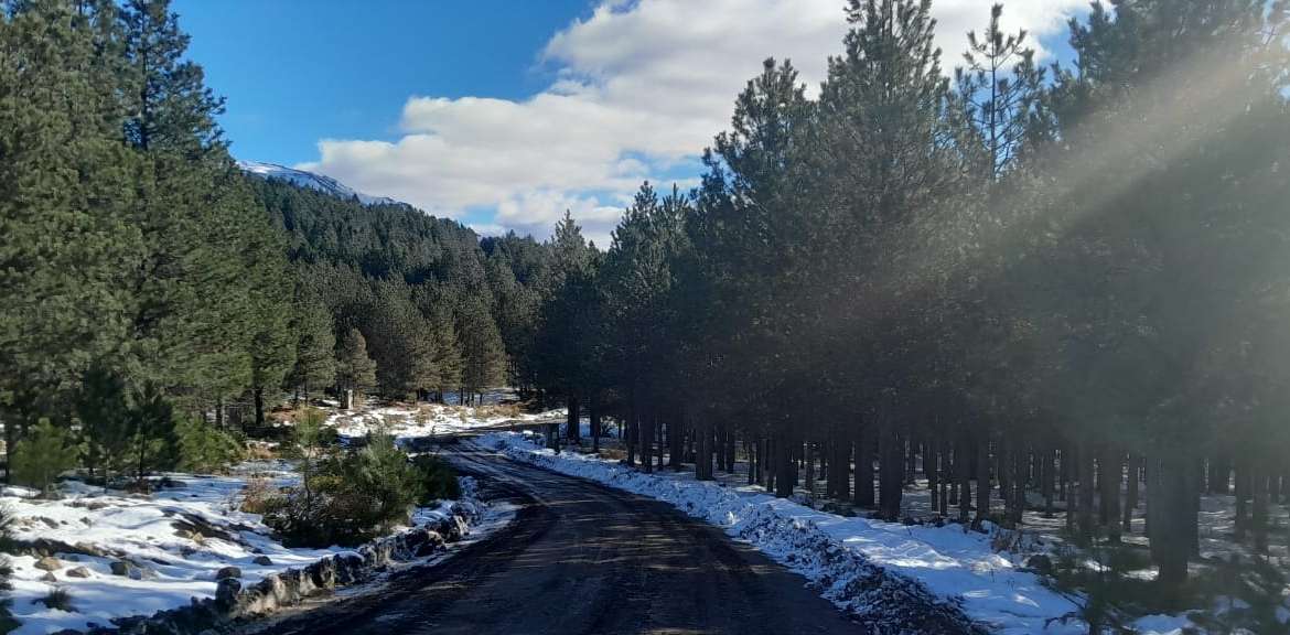 Lote Terreno En San Martin De Los Andes, El Desafío Mountain Resort, Neuquén, Patagonia Argentina