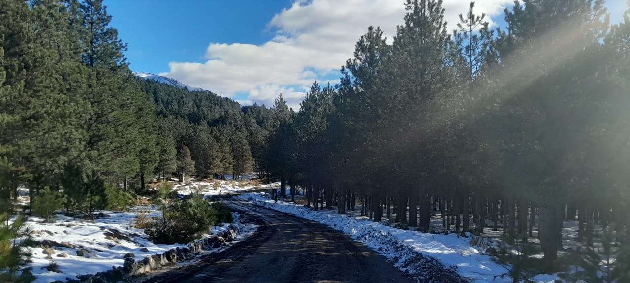 Lote Terreno En San Martin De Los Andes, El Desafío Mountain Resort, Neuquén, Patagonia Argentina