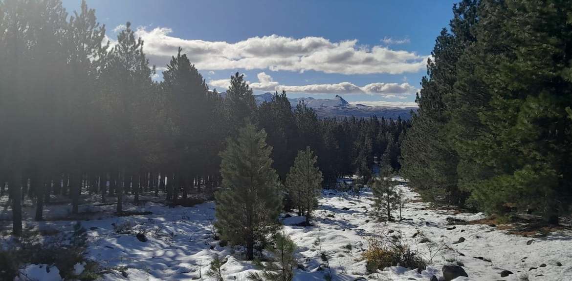 Lote Terreno En San Martin De Los Andes, El Desafío Mountain Resort, Neuquén, Patagonia Argentina