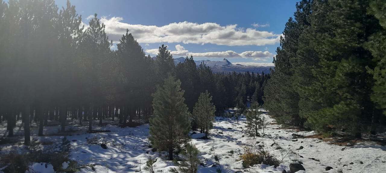 Lote Terreno En San Martin De Los Andes, El Desafío Mountain Resort, Neuquén, Patagonia Argentina