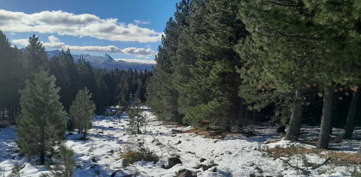 Lote Terreno En San Martin De Los Andes, El Desafío Mountain Resort, Neuquén, Patagonia Argentina