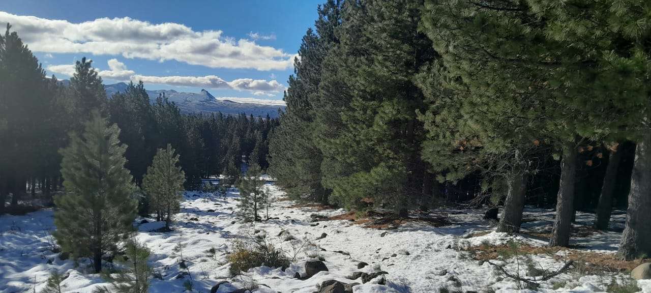 Lote Terreno En San Martin De Los Andes, El Desafío Mountain Resort, Neuquén, Patagonia Argentina