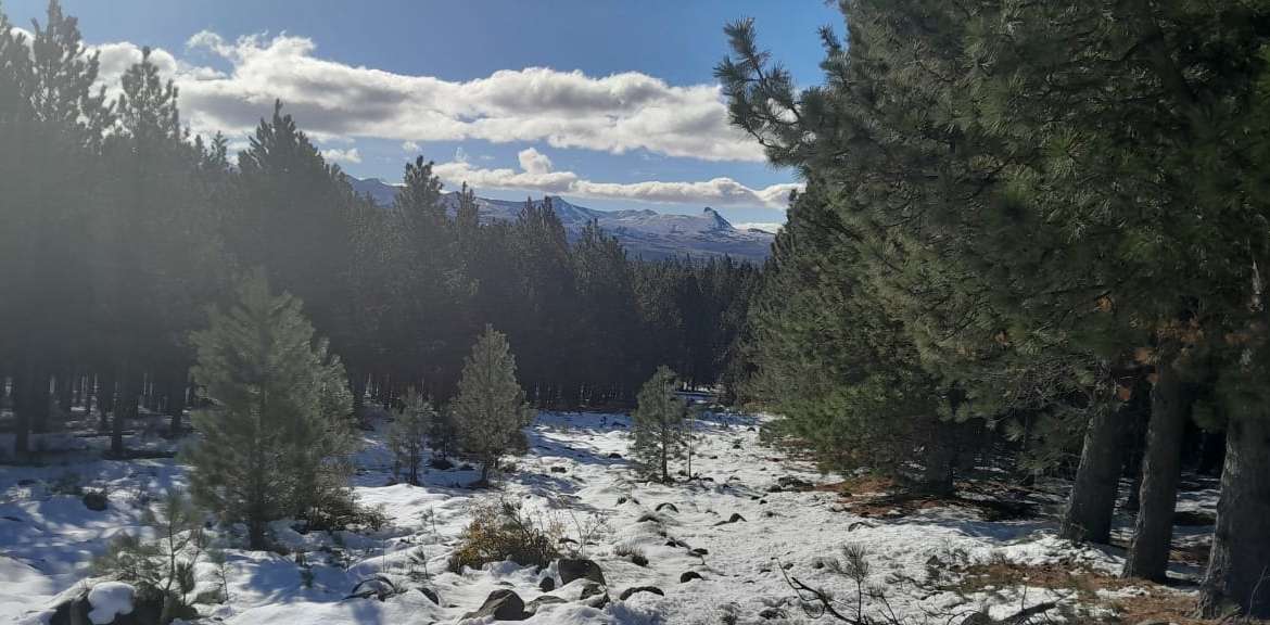 Lote Terreno En San Martin De Los Andes, El Desafío Mountain Resort, Neuquén, Patagonia Argentina