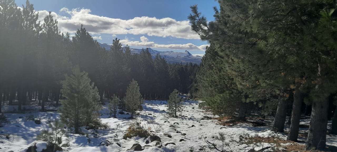 Lote Terreno En San Martin De Los Andes, El Desafío Mountain Resort, Neuquén, Patagonia Argentina