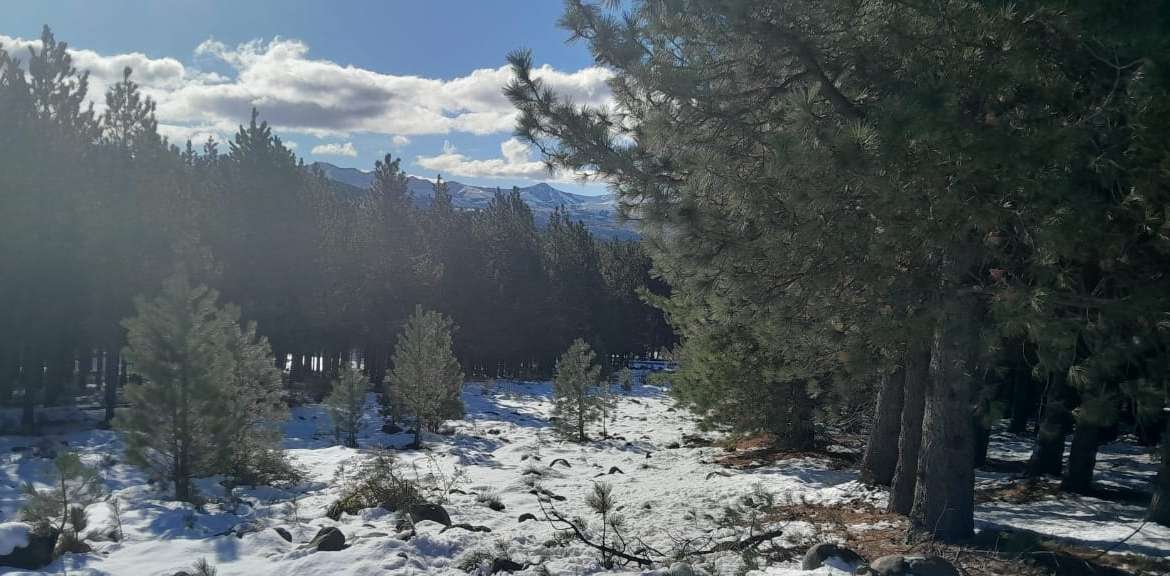 Lote Terreno En San Martin De Los Andes, El Desafío Mountain Resort, Neuquén, Patagonia Argentina