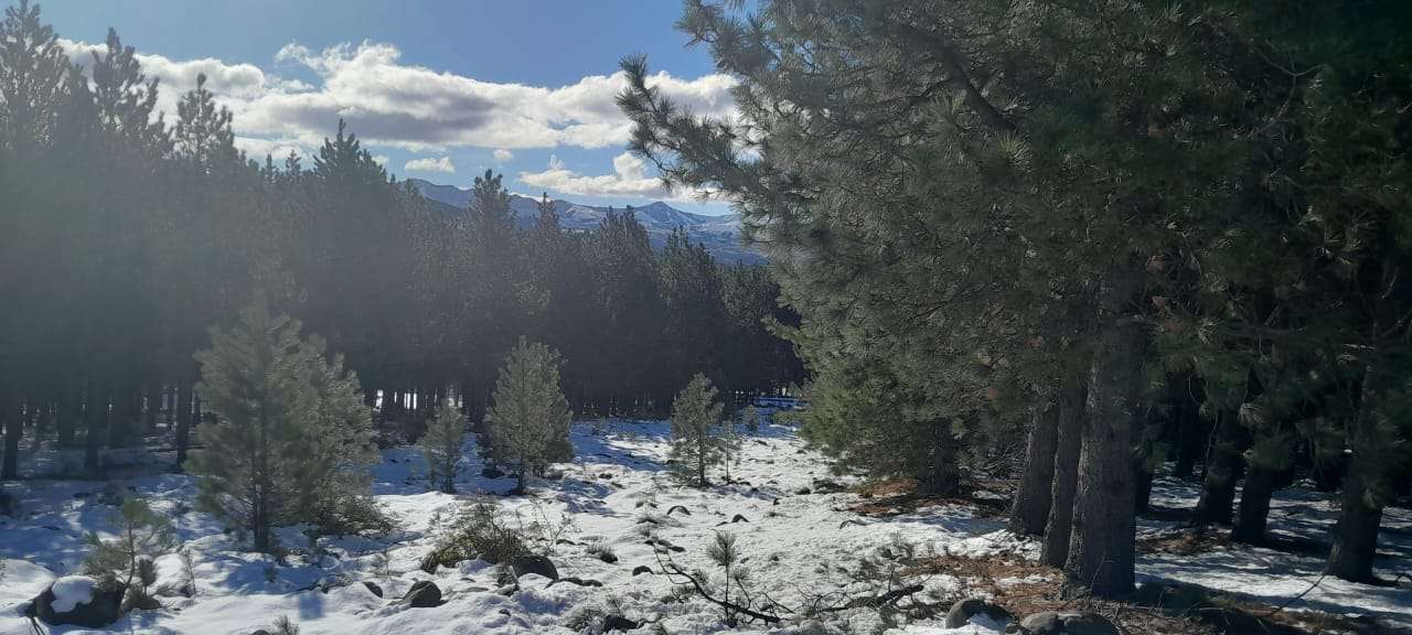 Lote Terreno En San Martin De Los Andes, El Desafío Mountain Resort, Neuquén, Patagonia Argentina