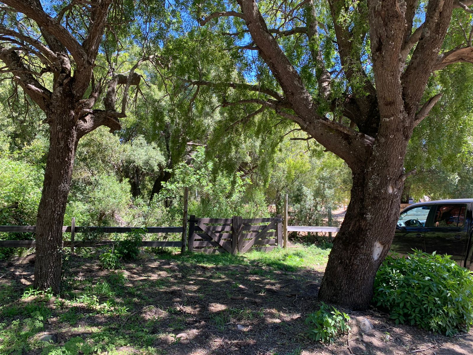 Lotes En Venta En La Reserva Alta, San Martín De Los Andes, Neuquén, Patagonia Argentina